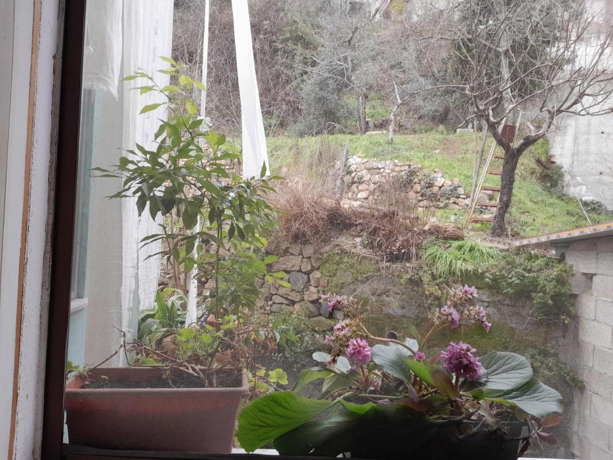 Antichi Sapori Da Speranza Villa กาวอย ห้อง รูปภาพ